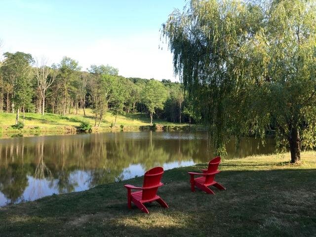 Lake Side Views and Seats