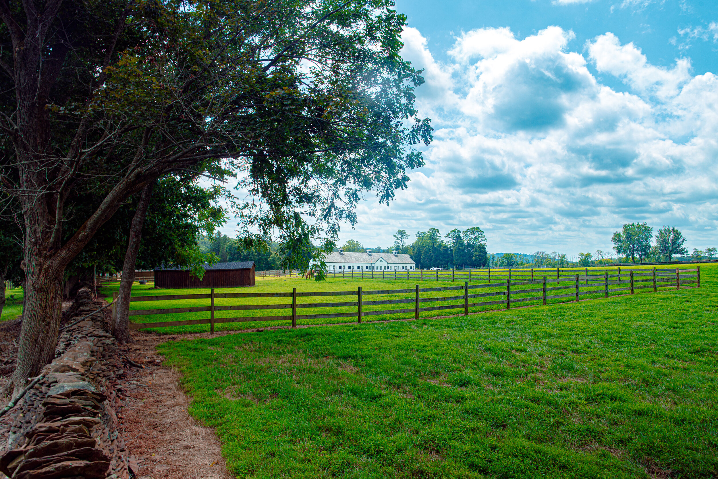 Nature As Far as the Eye Can See