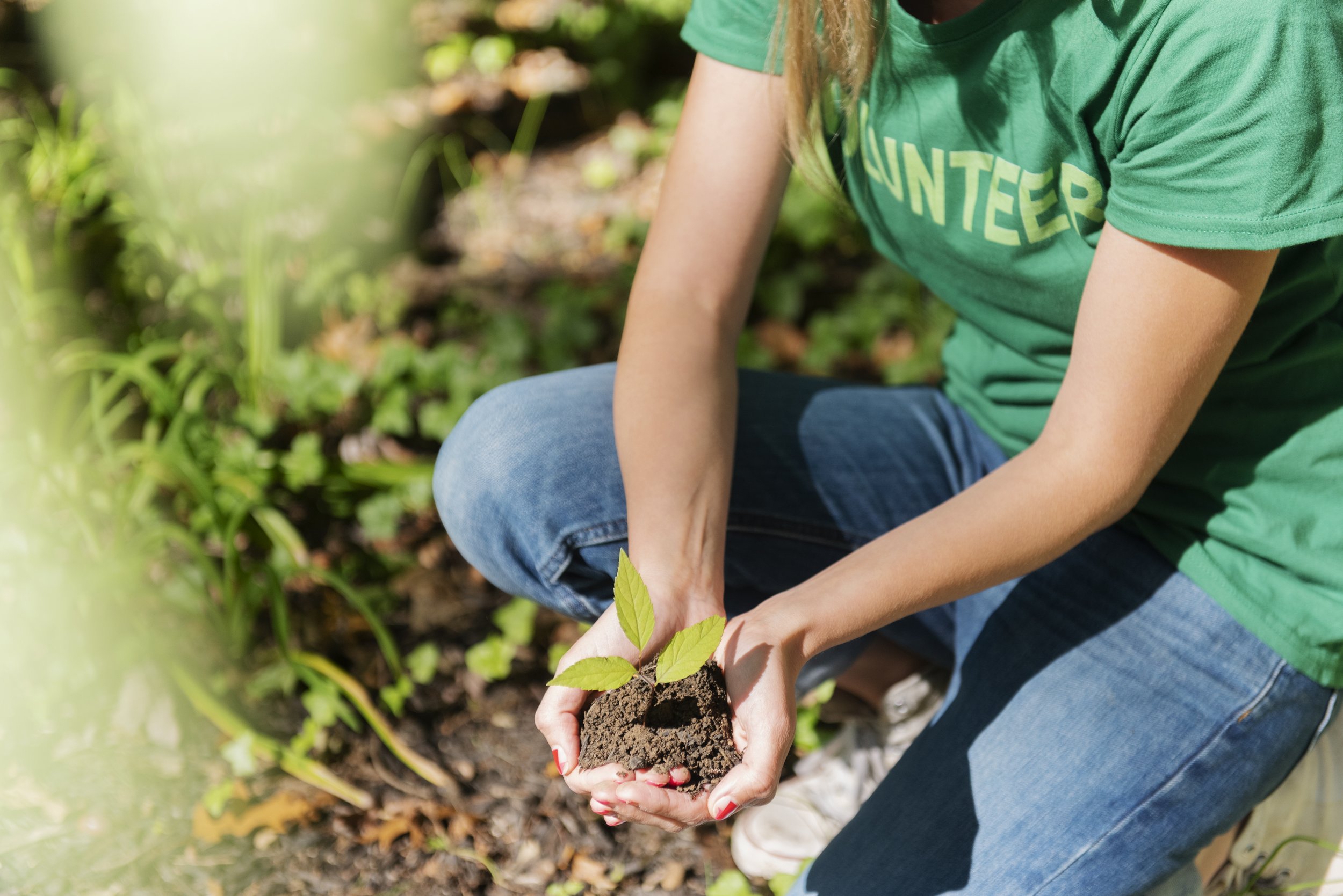 Volunteers Plant Trees. Planting Trees. Preparing, seeding and planting. Nature работа