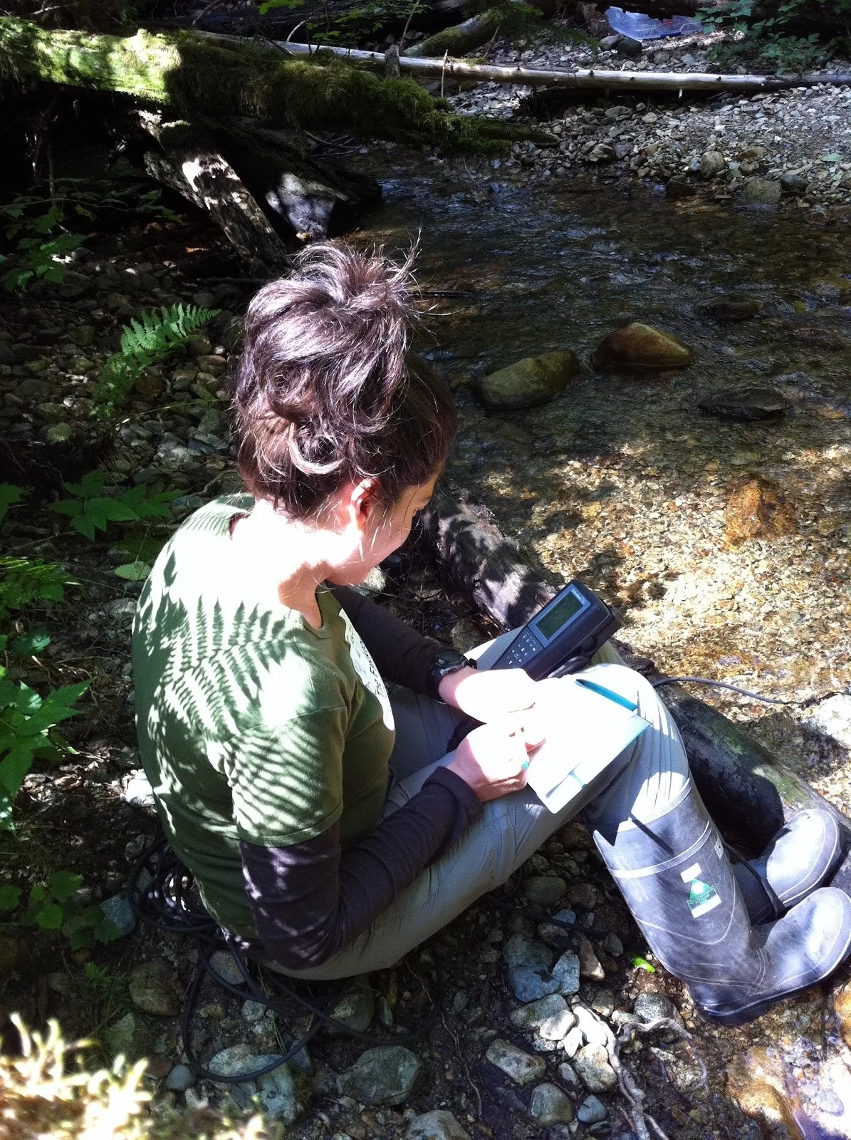 Measuring nutrient uptake in beautiful British Columbia, summer 2012