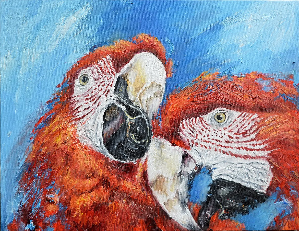 Macaws 3 - Jpeg.jpg