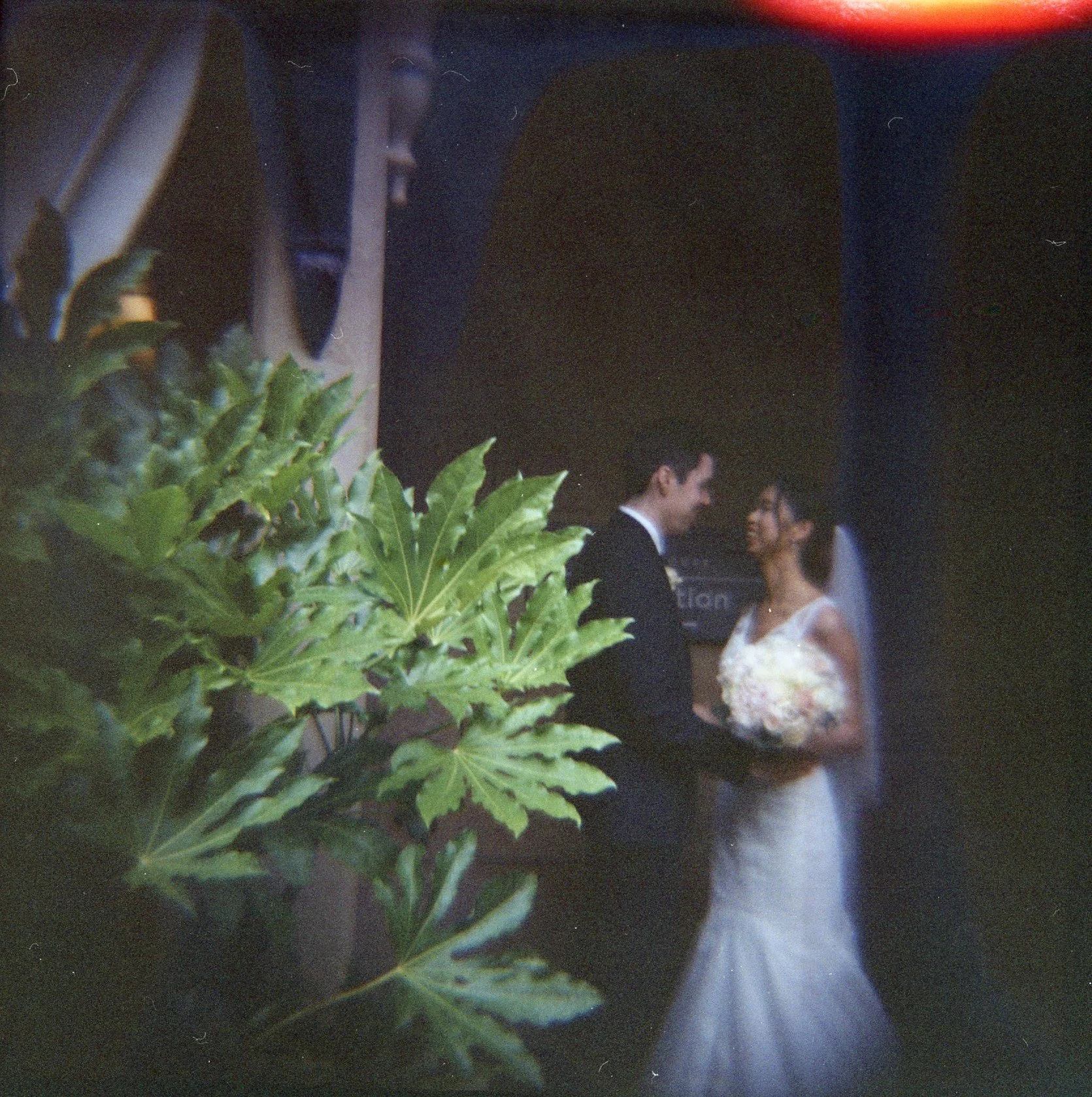 Film062.jpg