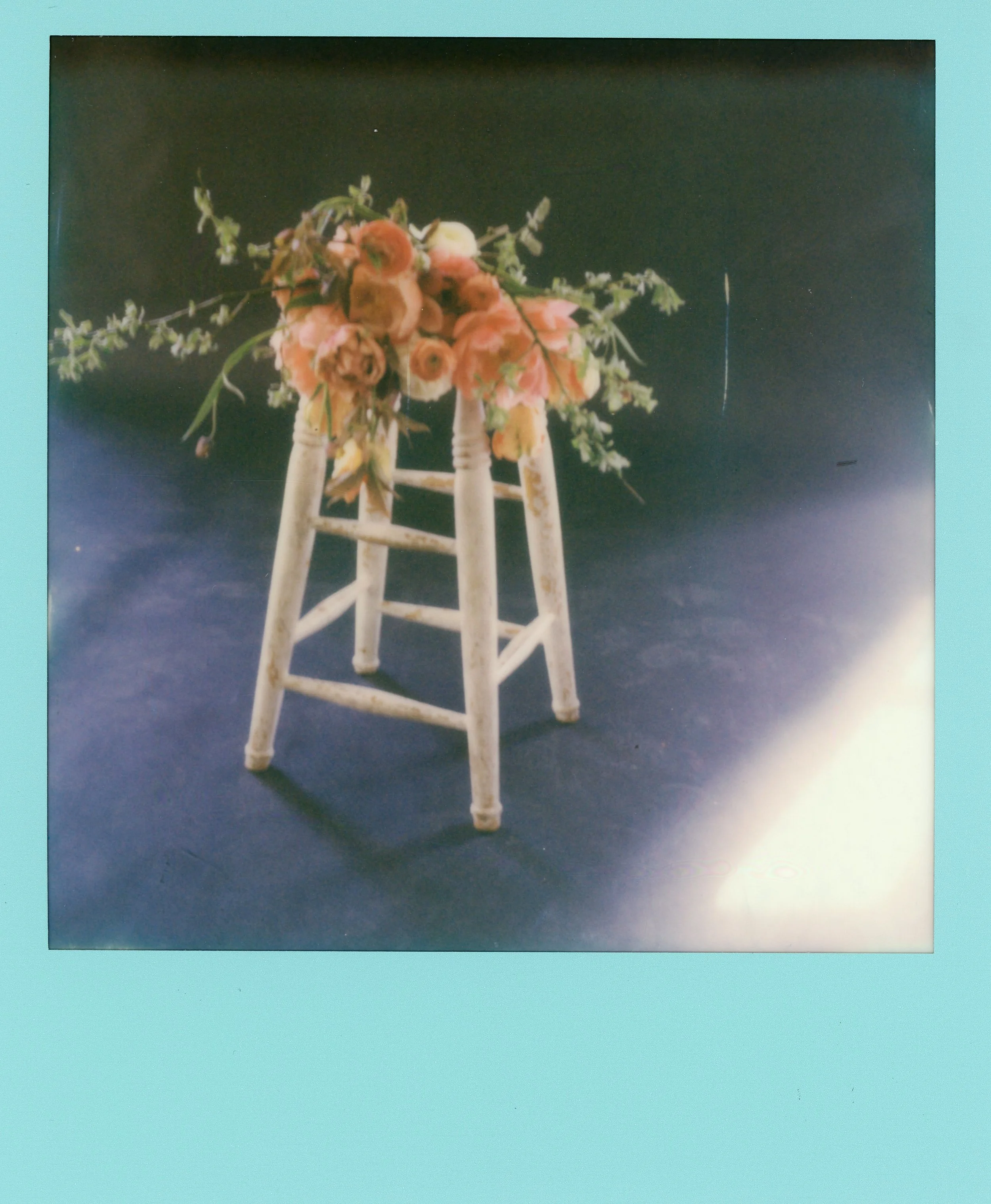 Film168.jpg