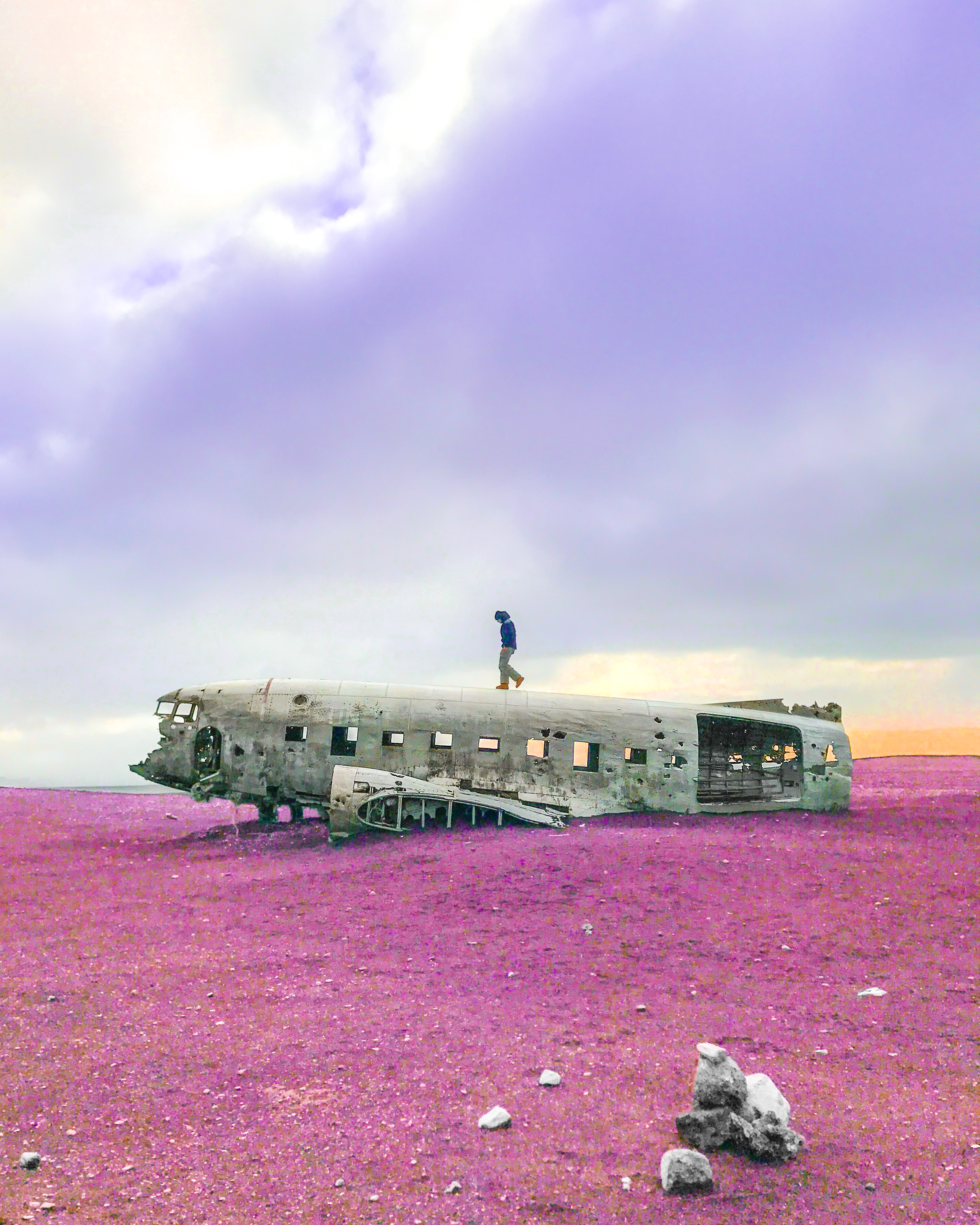 Plane.jpg