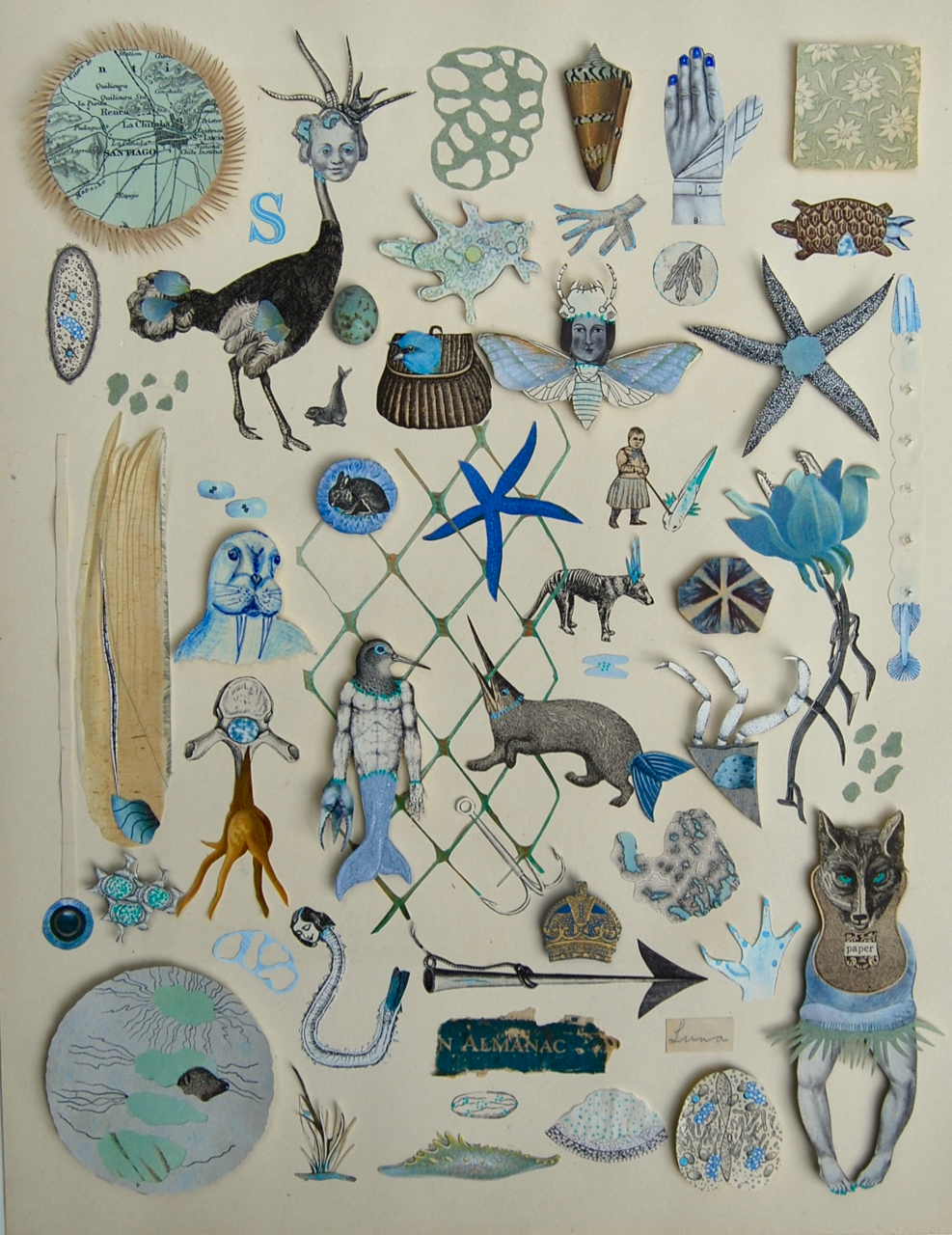 Katie McCann, "Common Objects of the Microscope: Fishing Net", Collage on paper 11.75 x 14.75 x 4, 2019