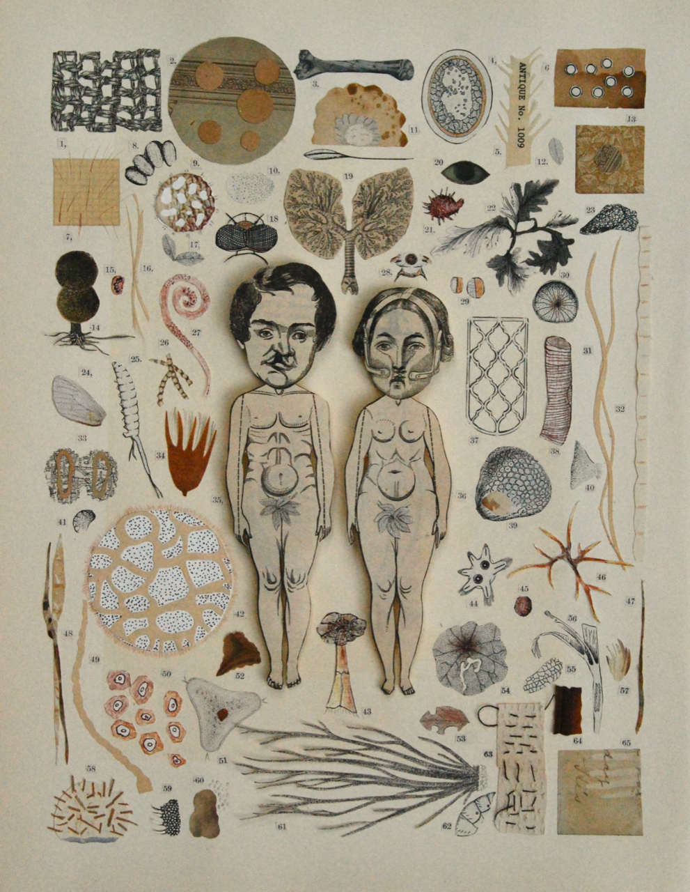 Kaite McCann "Common Objects of the Microscope: Adam & Eve" Collage On Paper 11.75 x 14.75 x 4, 2019