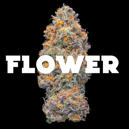 flower button.jpg