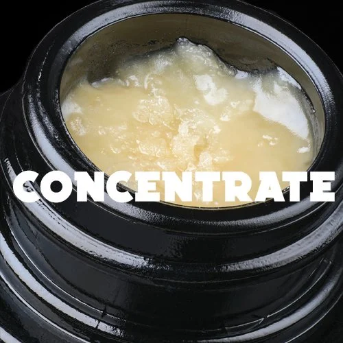 concentrate button.jpg