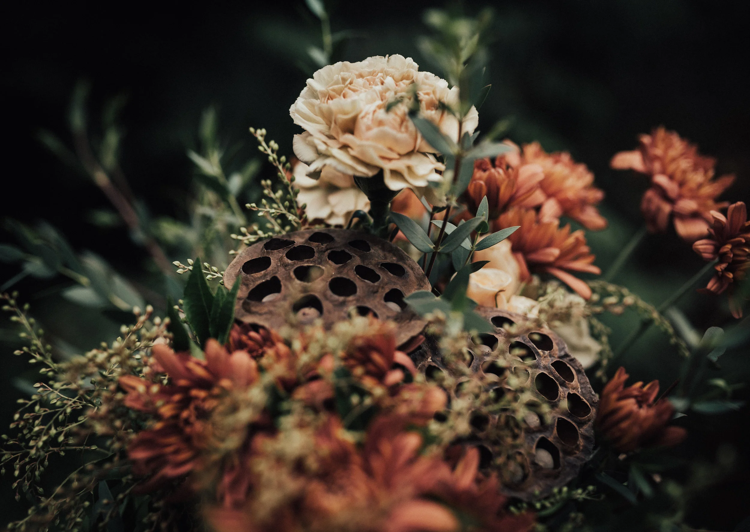 untitled-6.jpg