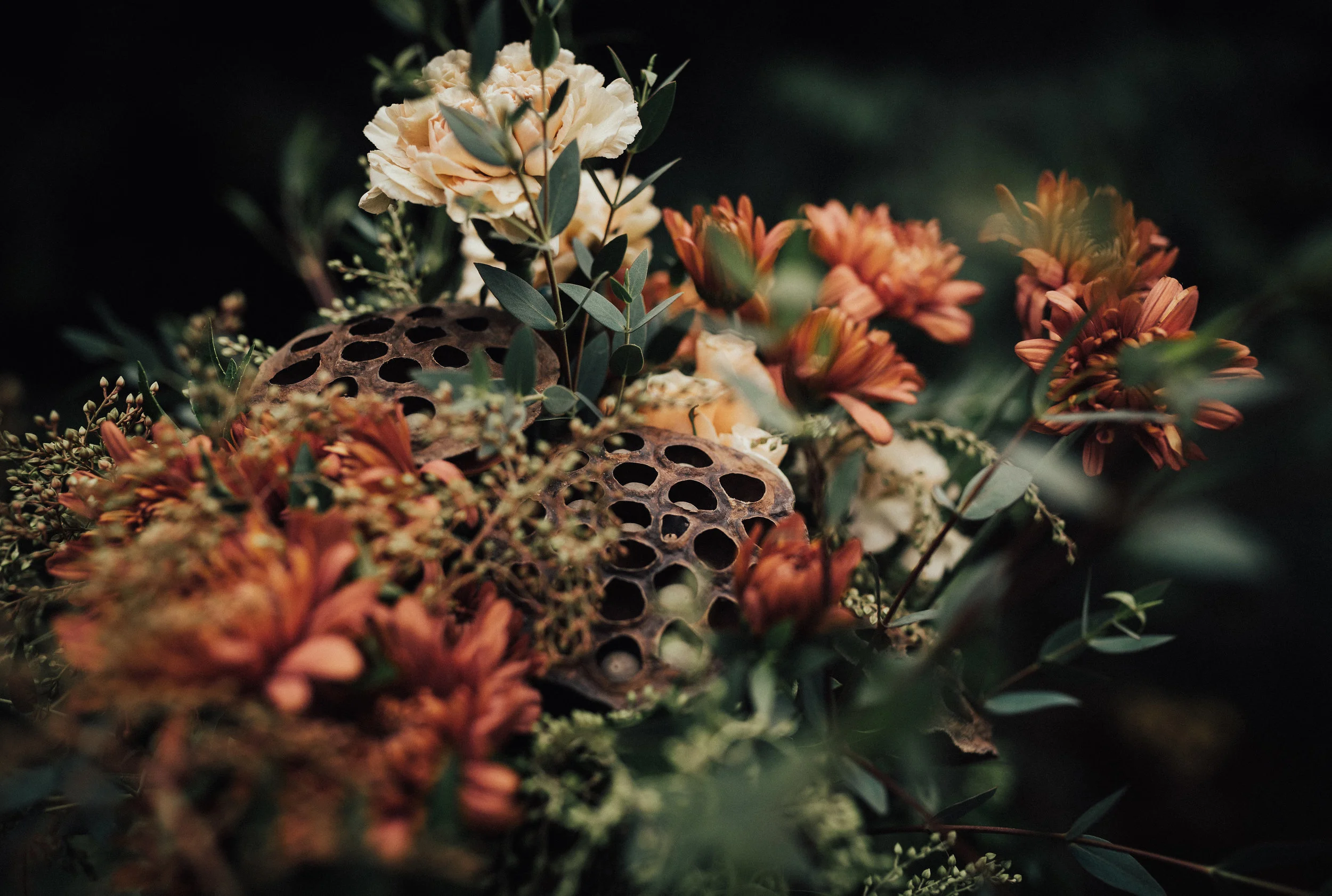 untitled-5.jpg