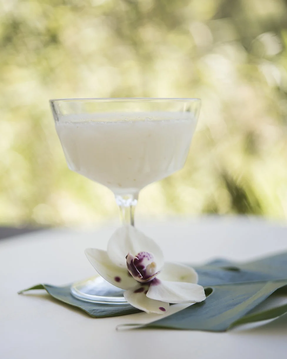 WHITE ORCHID fresh pressed lychee and lemon, St. Germaine, vodka