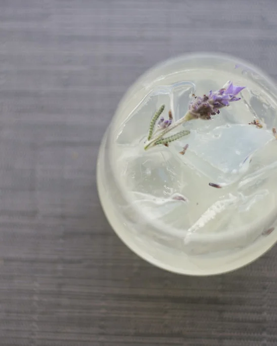 PURPLE HAZE fresh pressed cucumber and lime, house lavender syrup, gin