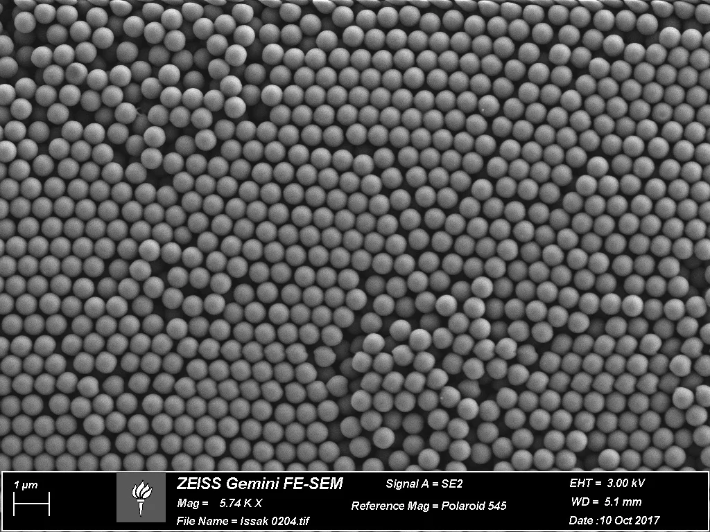 (+) Spherical Polystyrene (500nm)