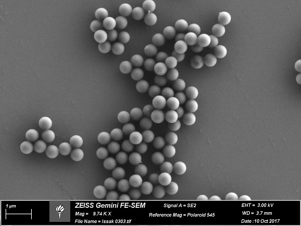 (+) Spherical Polystyrene (600nm)