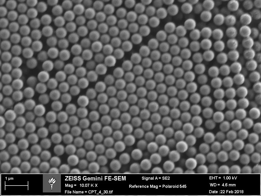 (+) Spherical Polystyrene (490nm)