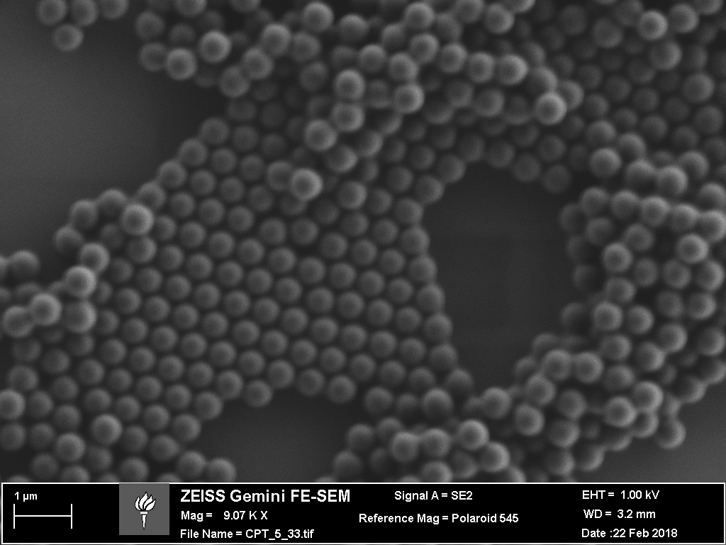 (+) Spherical Polystyrene (520nm)