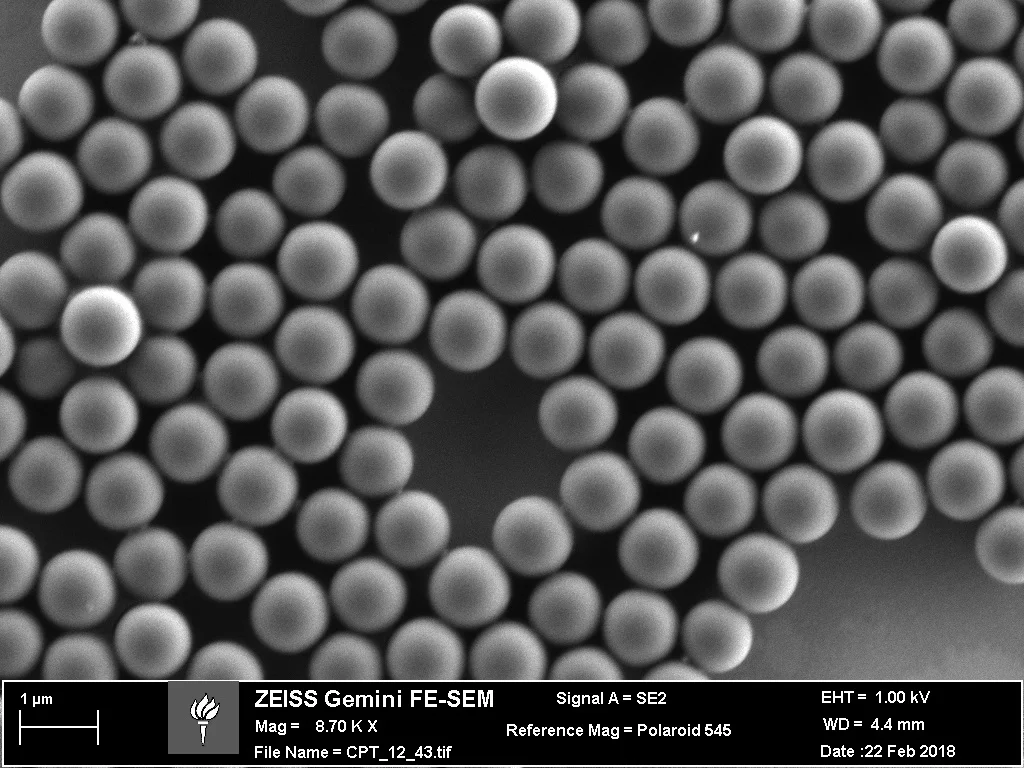 (-) Spherical Polystyrene (1000nm)