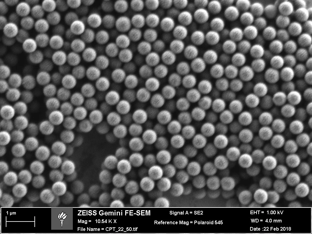 (-) Spherical Polystyrene (500nm)