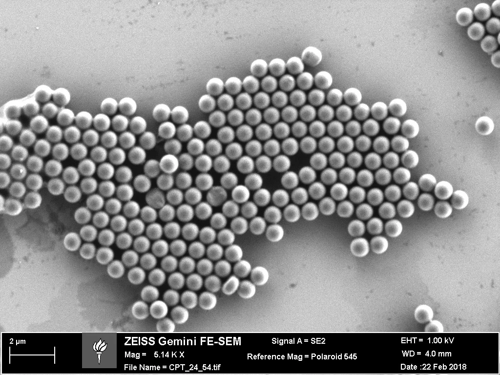 (+) Spherical Polystyrene (800nm)