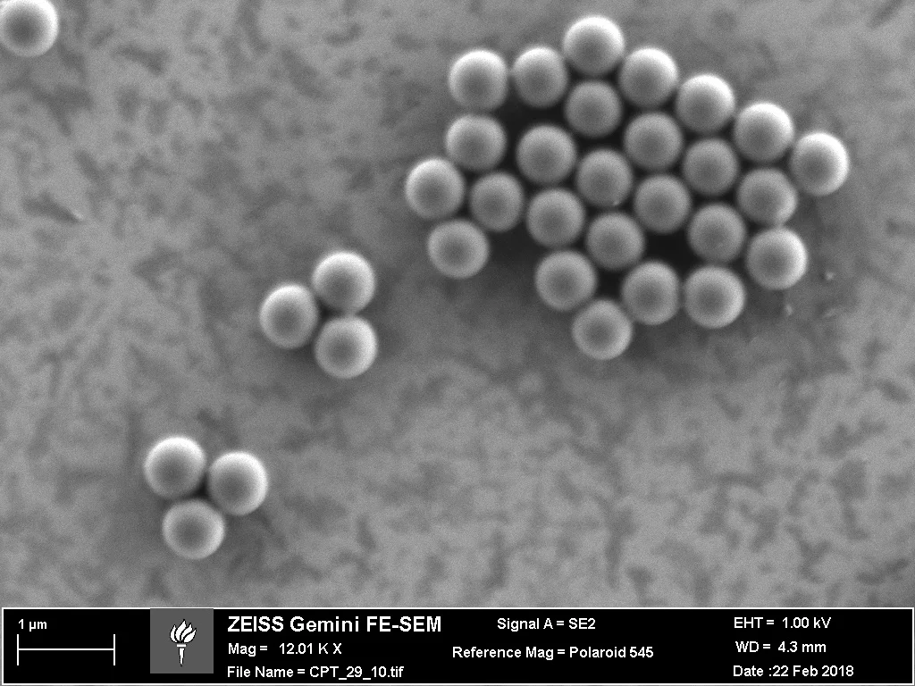 (-) Spherical Polystyrene (650nm)