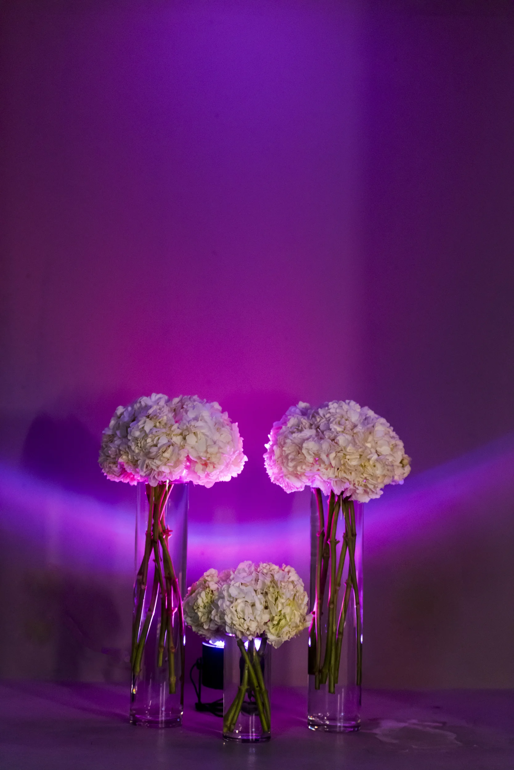 *FLOWERS MAY VARY