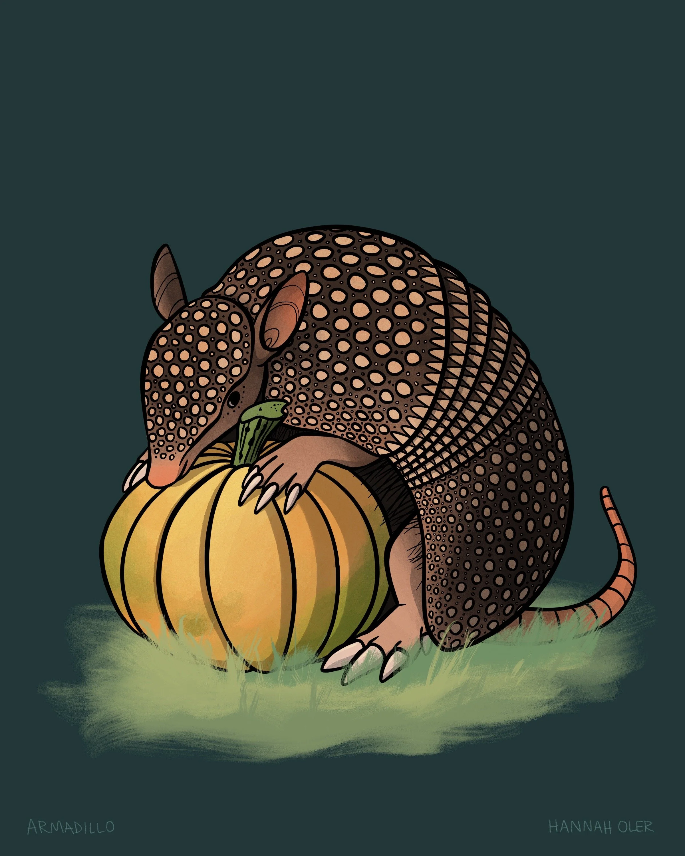 Armadillo