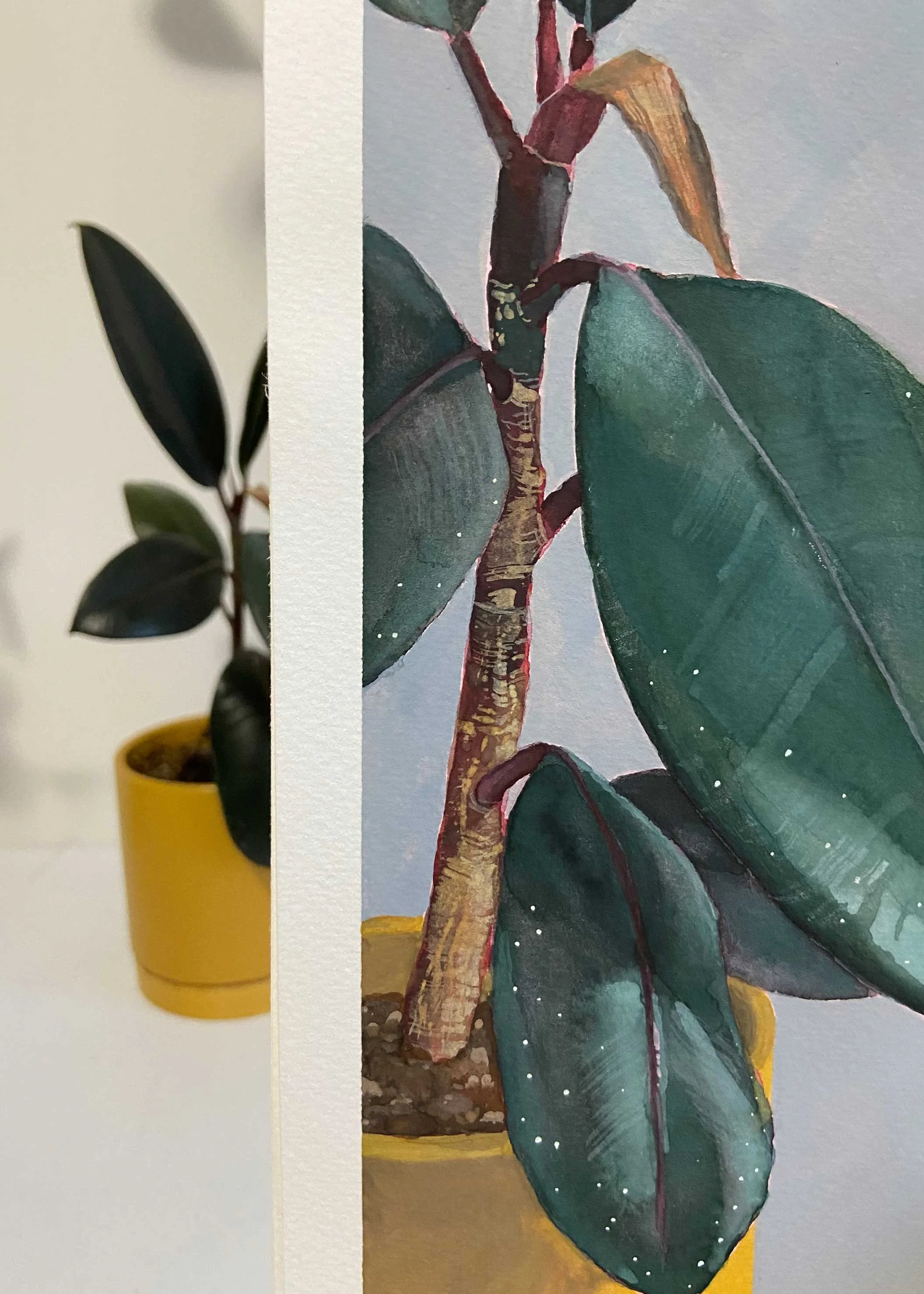 RubberTreeStudy-closeup-HannahOler-web.jpg