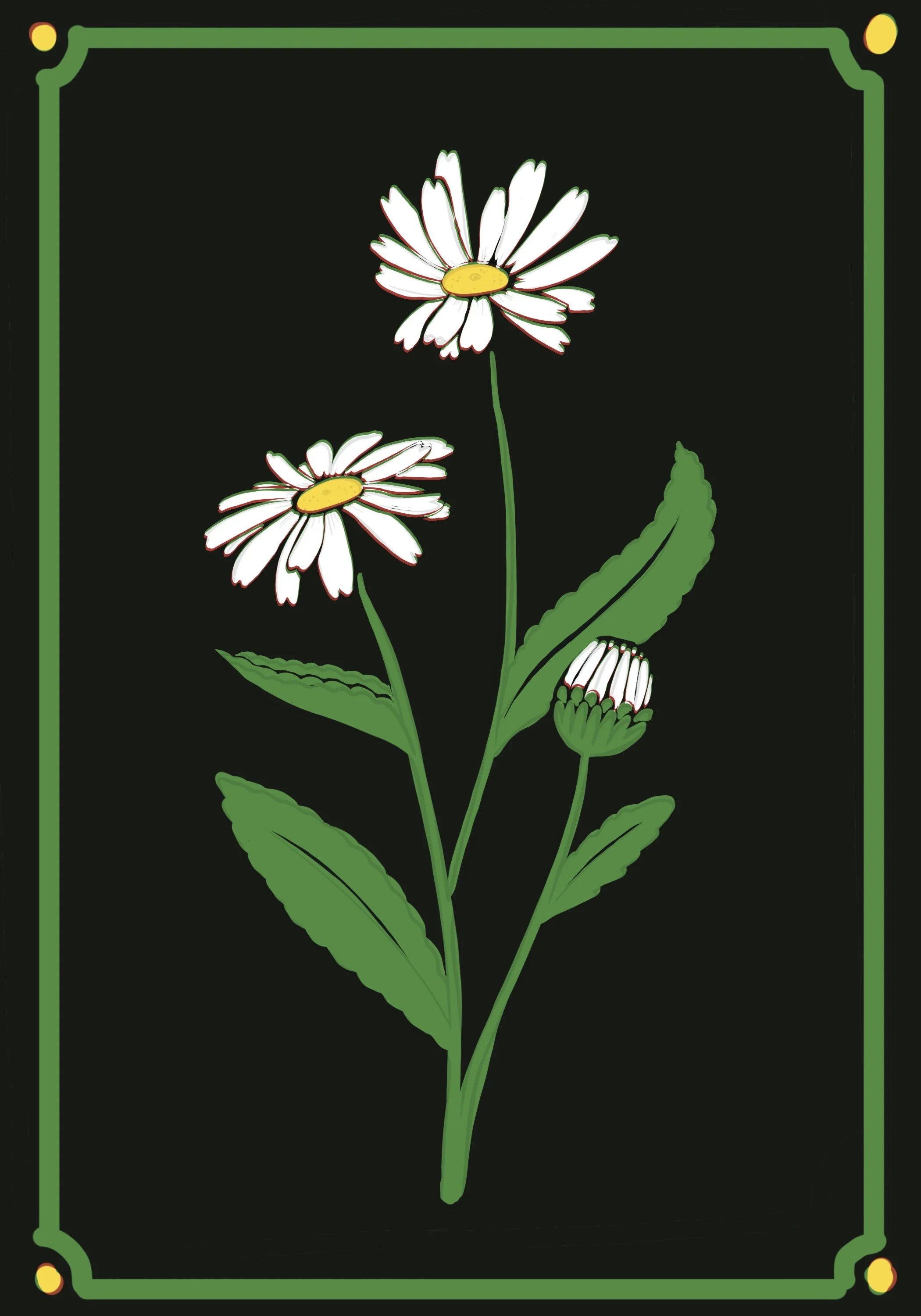 April_Daisy_Elements 6.jpg