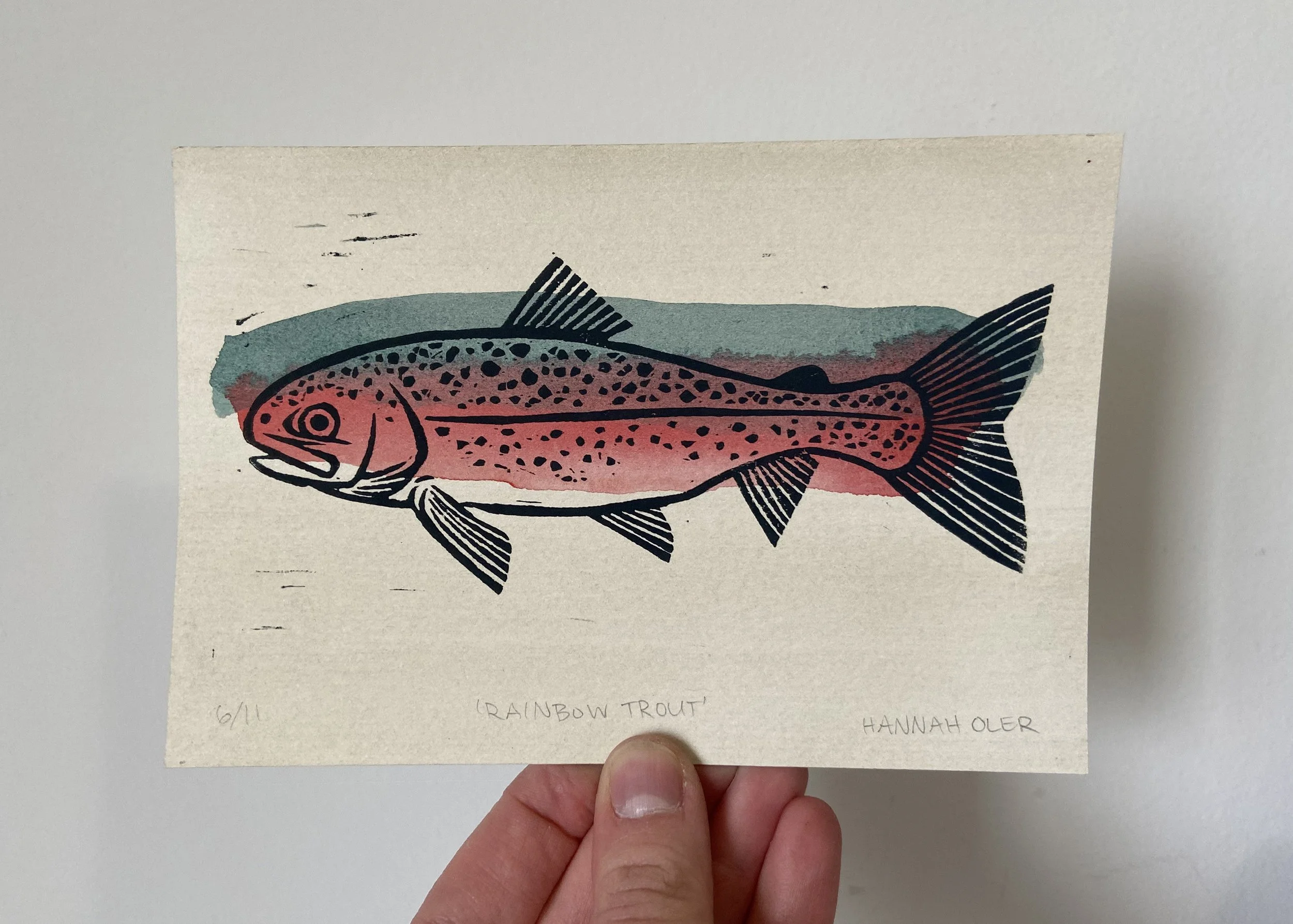 hannaholer-rainbow-trout-print-6of11.jpg