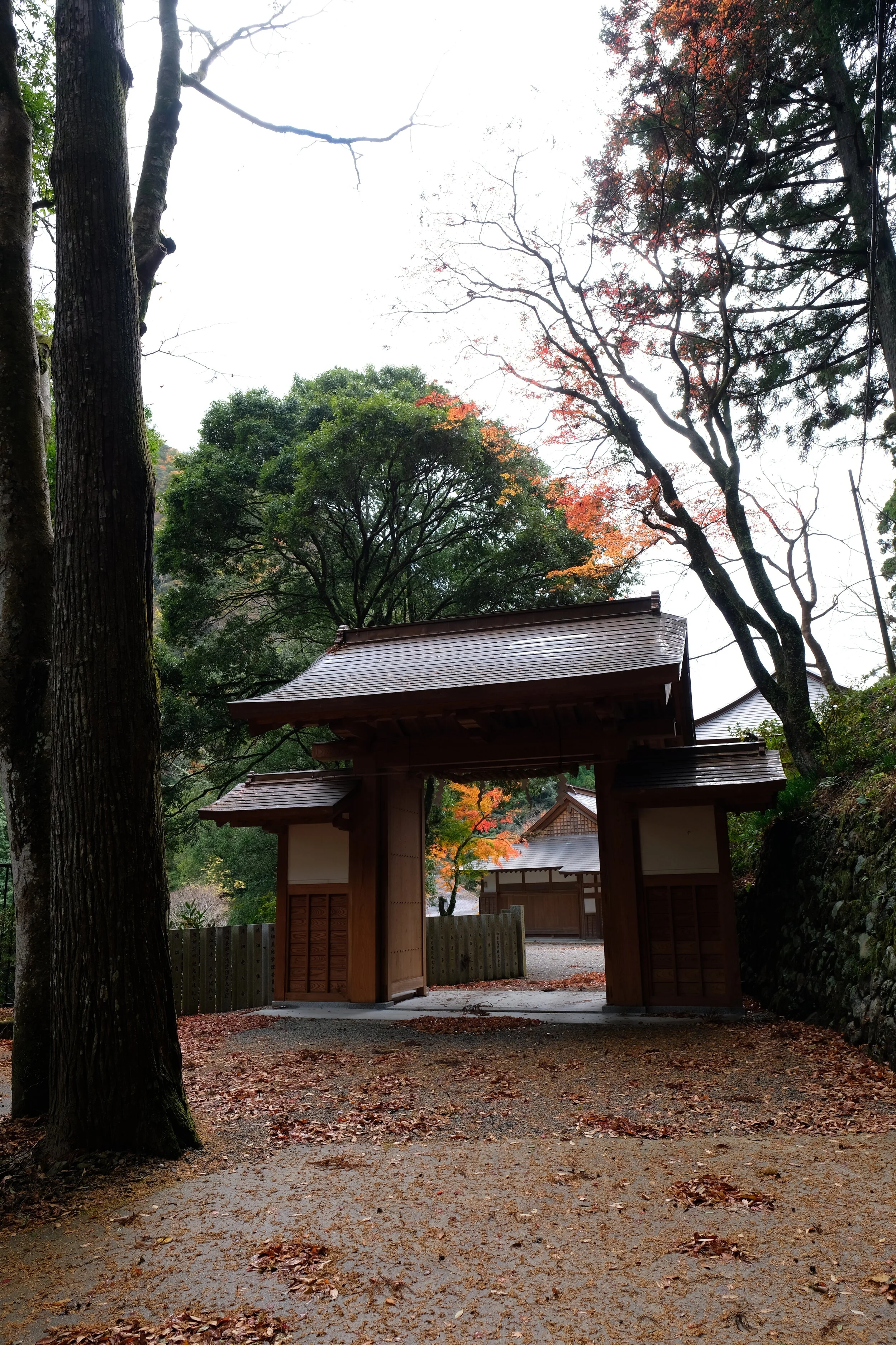 DSCF3086.JPG