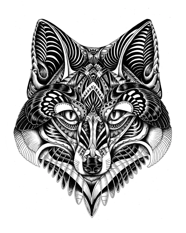 fox face hi res copy.JPG