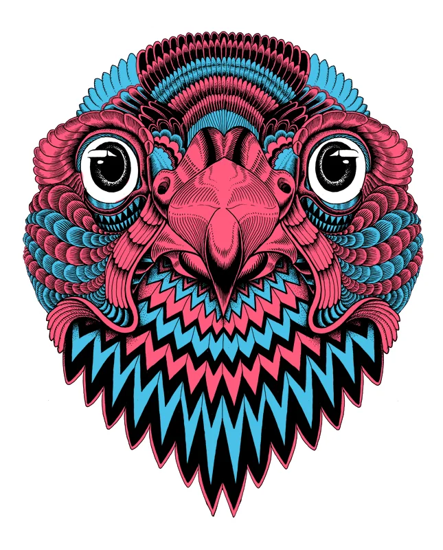 falcon final version 5.JPG