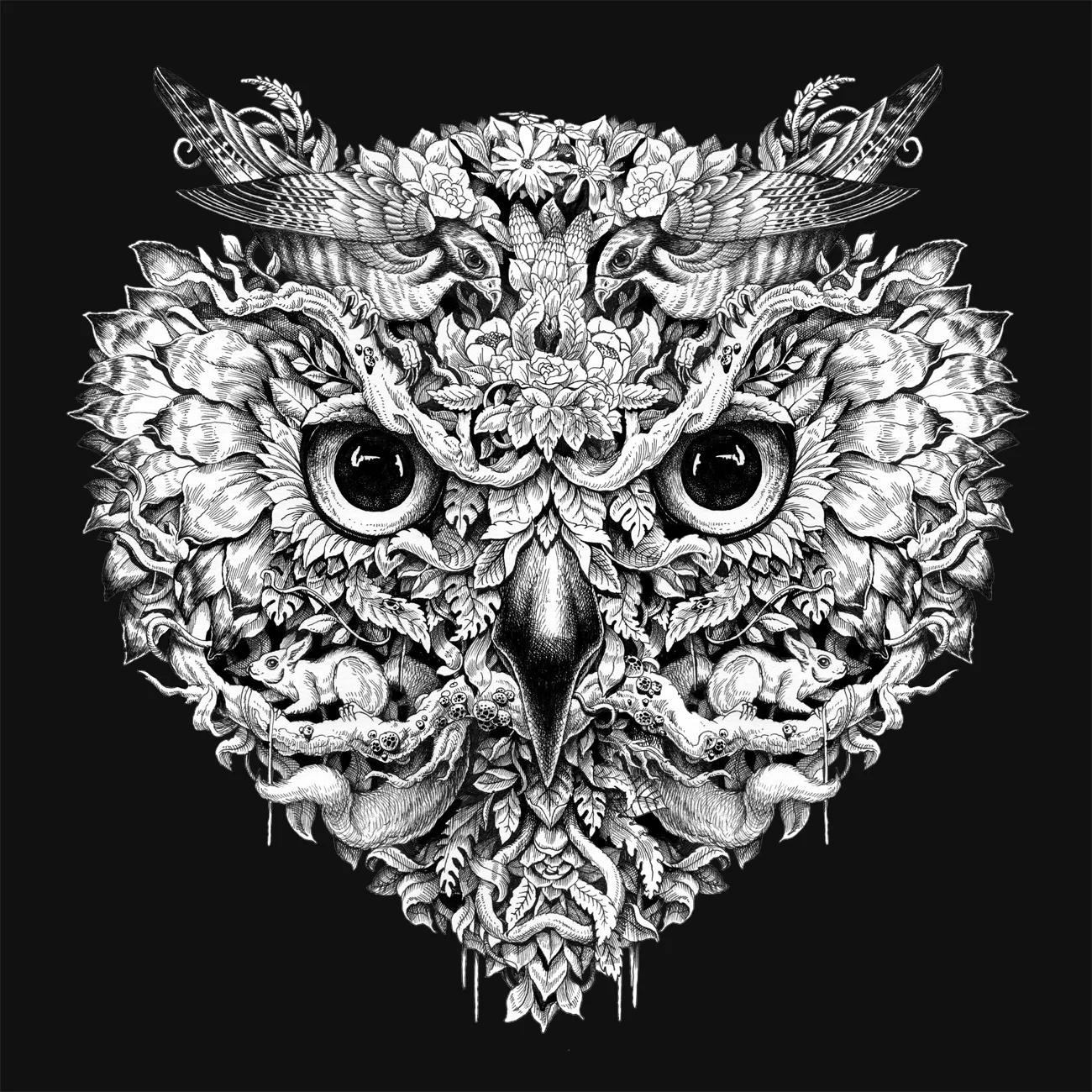 woodland owl dephect final copy.JPG