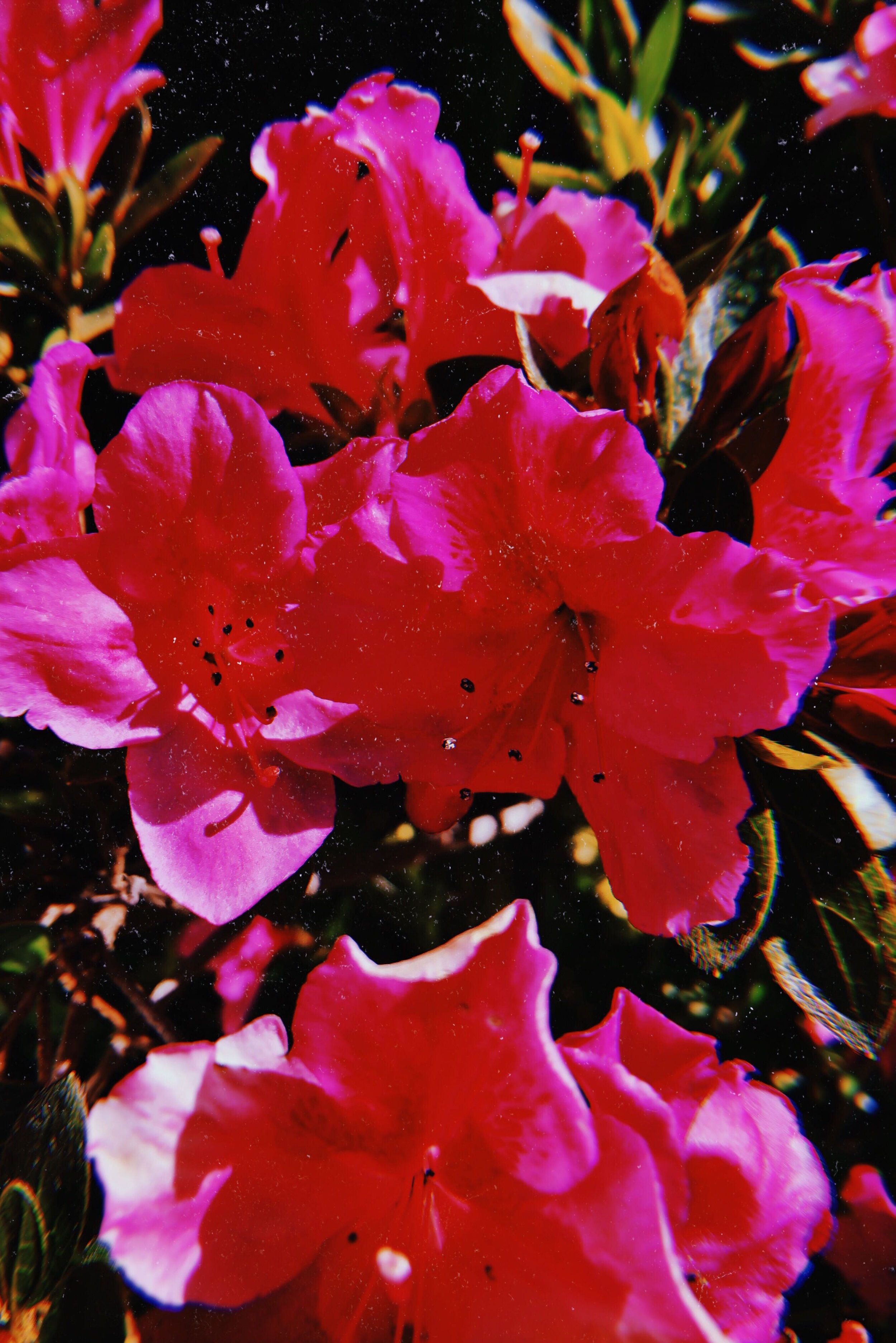 2019-05-12 04_54_22.953 copy.JPG