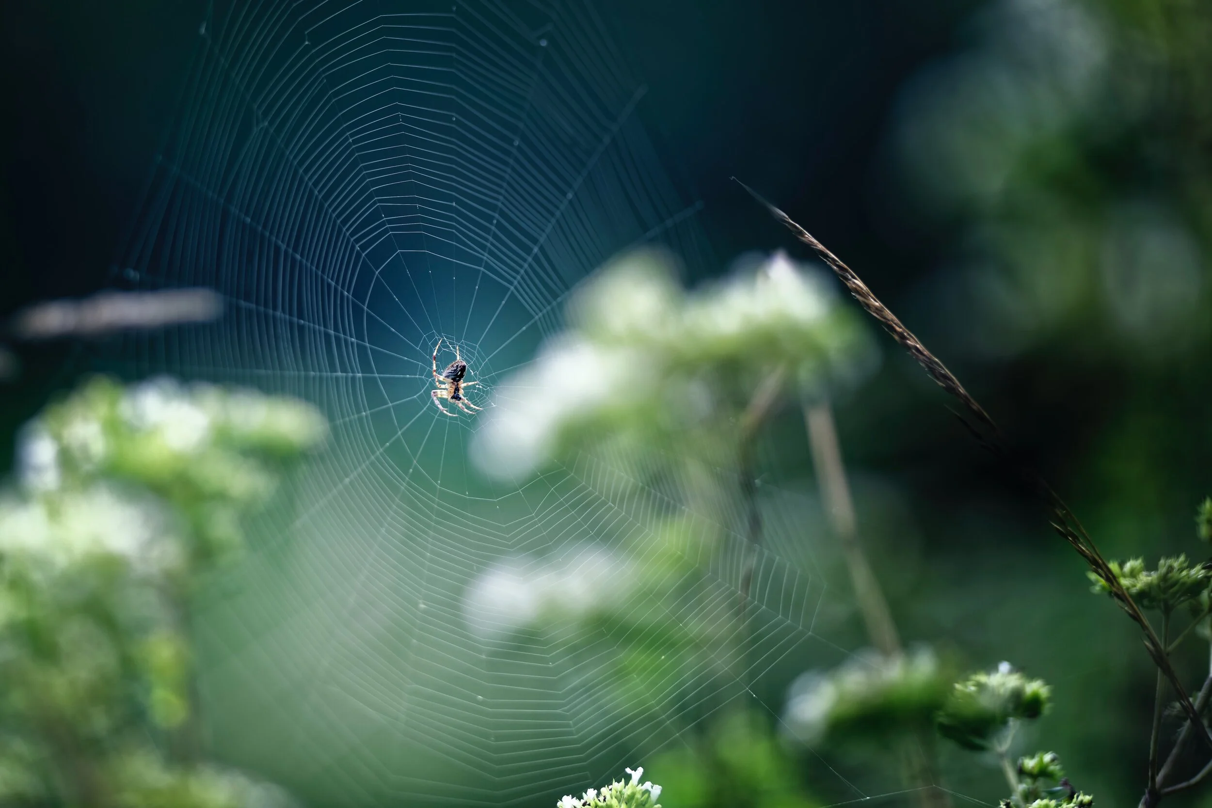 trusting spirit (and yourself) enough to rest