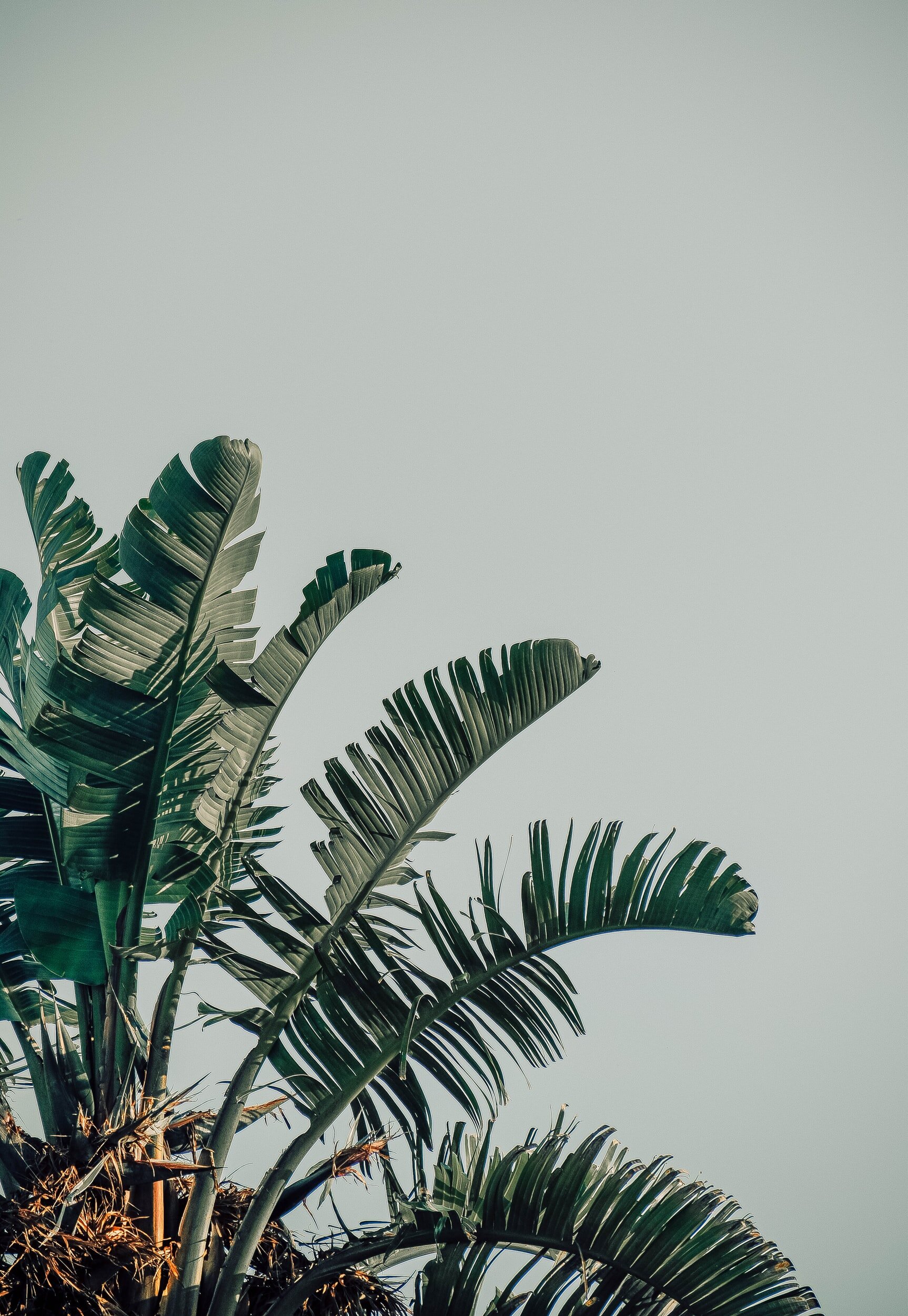 going inward for capricorn season