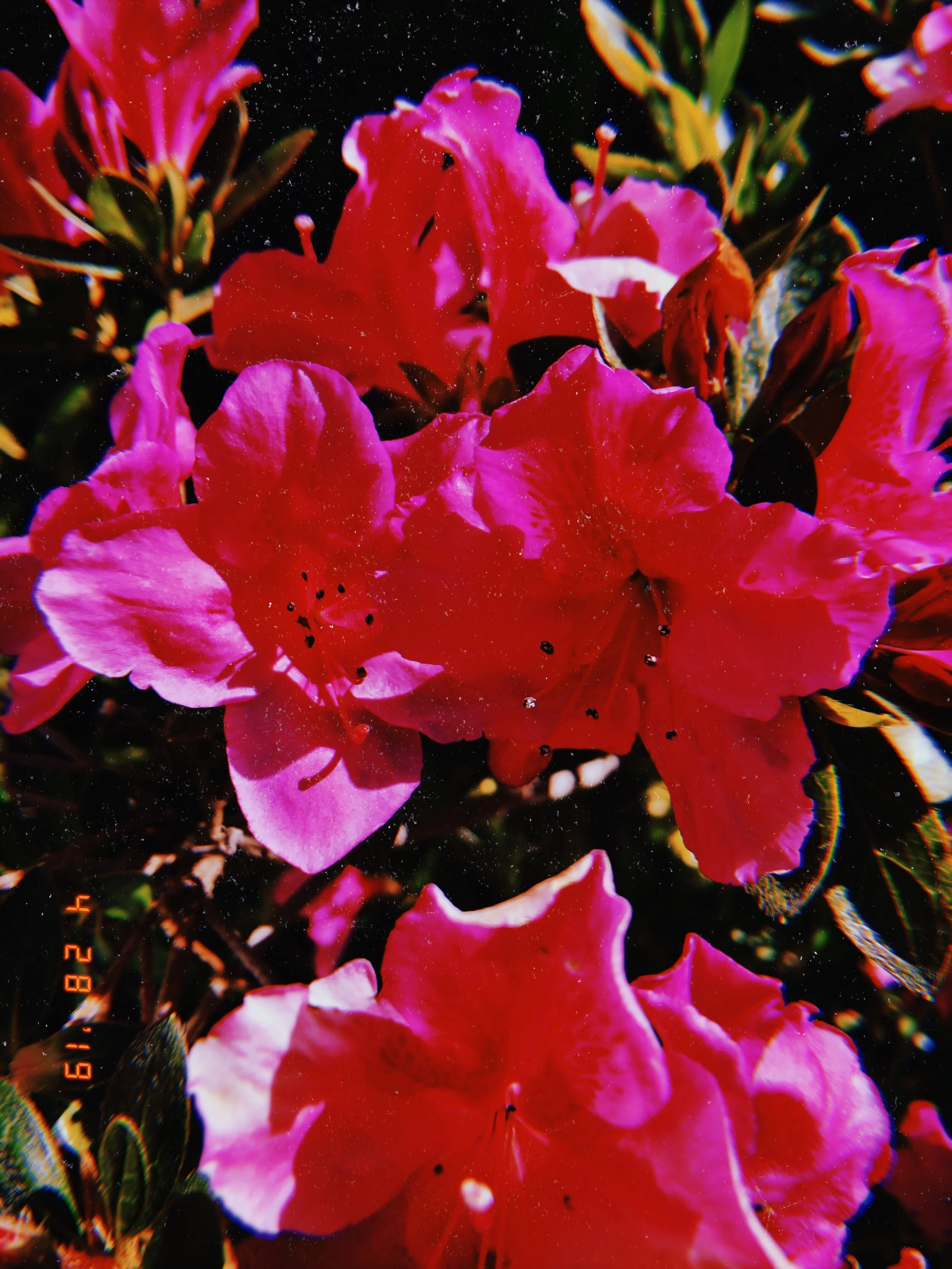 2019-05-12 04_54_22.953.jpg