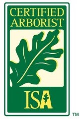 ISACertifiedArboristRecertification-506-medium.jpg