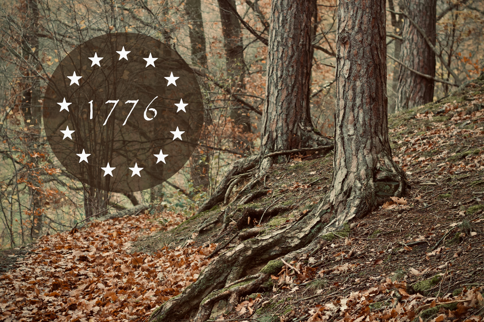 Commemorative "Grove of 13" Tree Planting