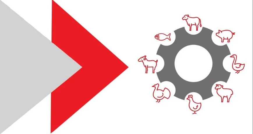 Meat Tech Cover Photo 1.jpg- 3D.jpg