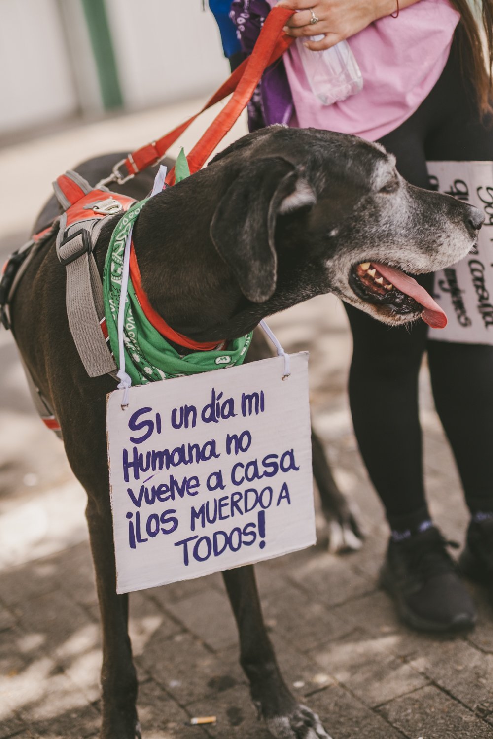 1217-www.victoriaholguin.com -Victoria Holguin-_DSF0199.jpg