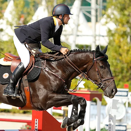 Believe Mare, KWPN, 2006, Ukato x Larista (by Burggraaf) Owners: Blue Star Investments and Alberto Simhon