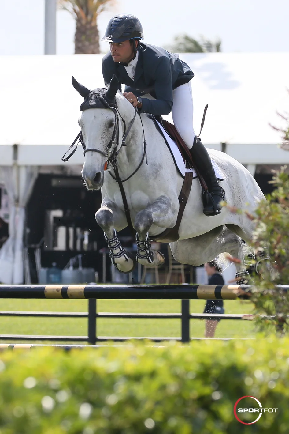 Daniel Bluman and His ‘Dream of a Speed Horse’ Score Derby Field Win in Week 11 of WEF
