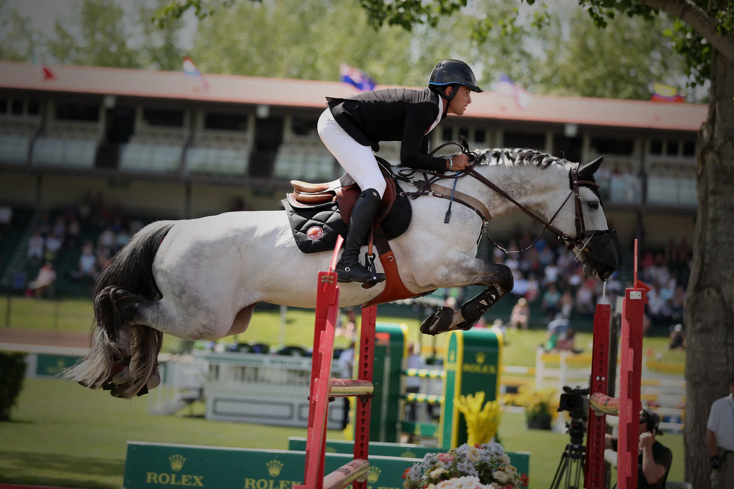 Cartouche Stallion, 2007, Cartago Owners: Daniel Bluman and Over the Top Stables