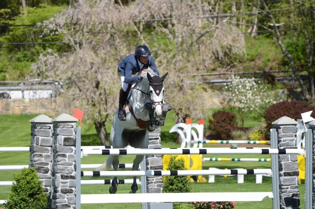 Gemma W Mare, KWPN, 2011, Luidam x Britt W (by Unaniem) Owners: Daniel Bluman