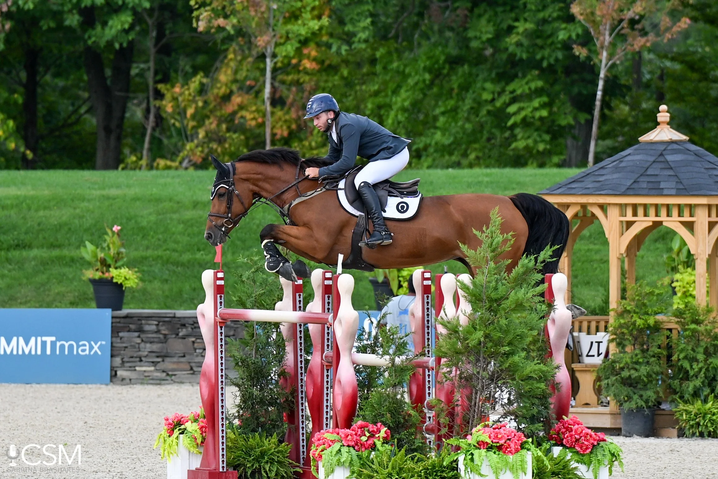 Steven and Lady Applaus by CSM DSC_2292.jpg