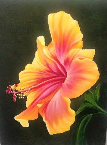 Yellow Hibiscus