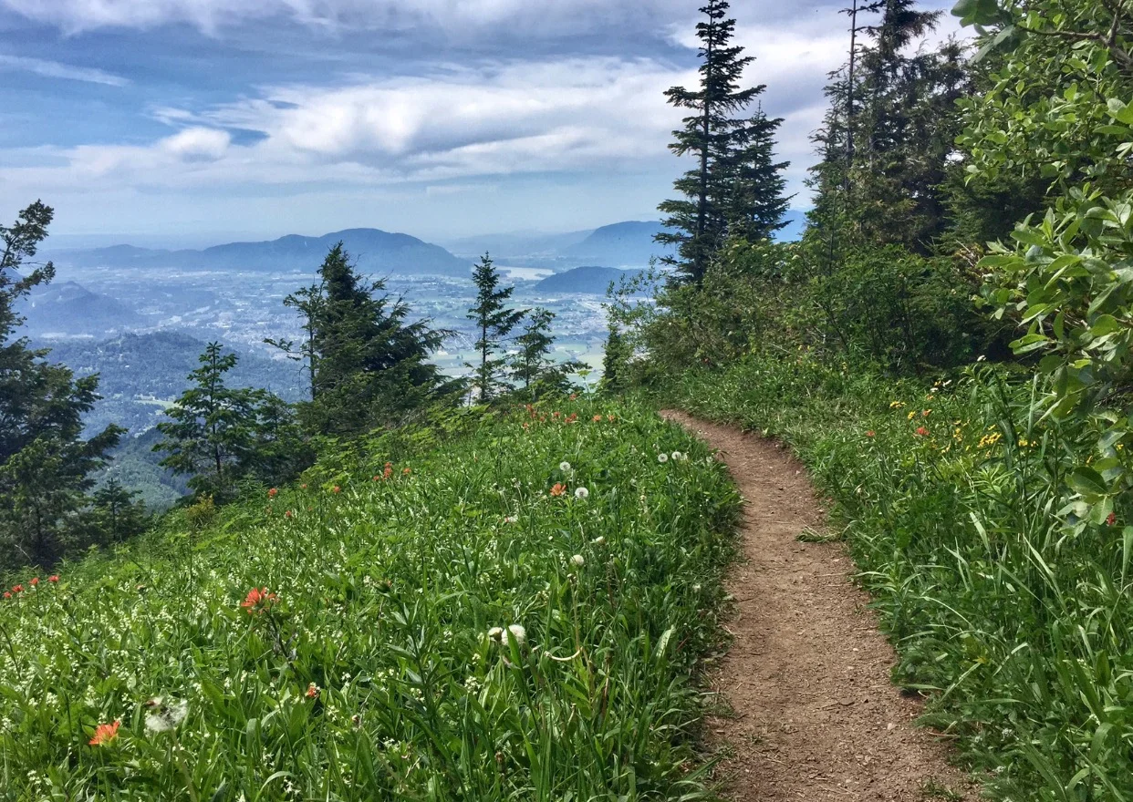 Elk Mtn.jpg