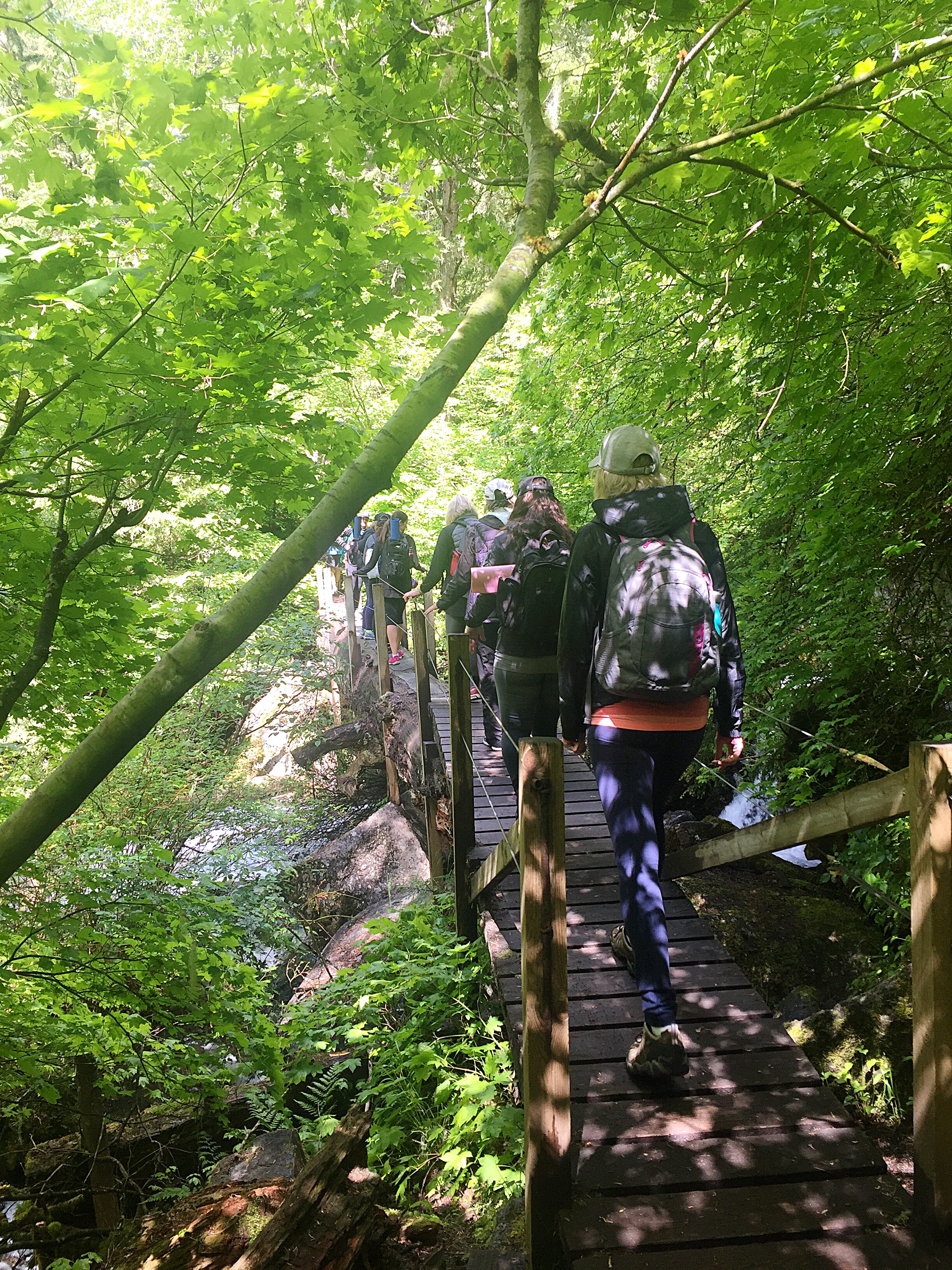 Lindeman Lake Hike - June 9, 2017