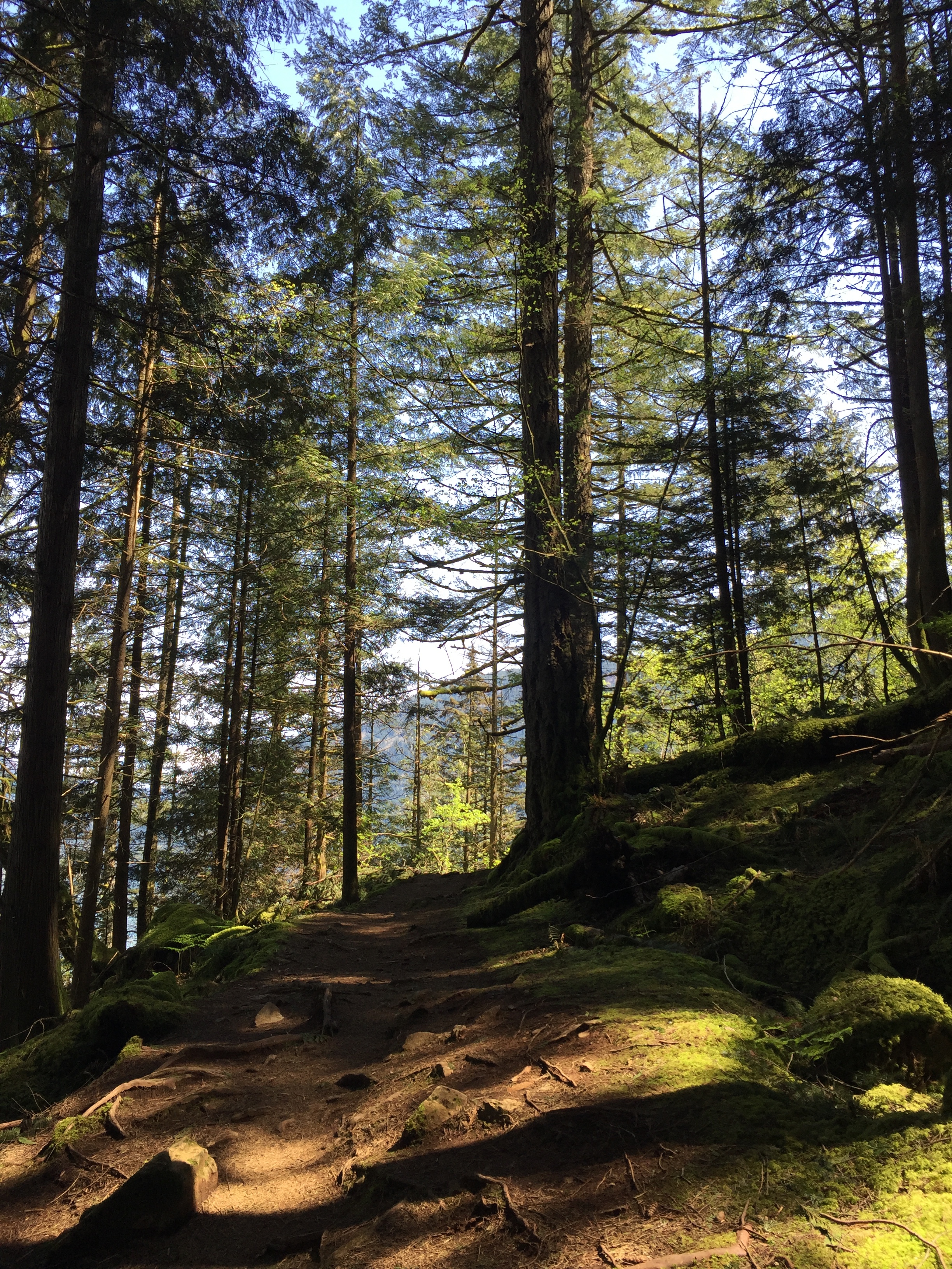 Whipperwill Trail - Harrison Hot Springs